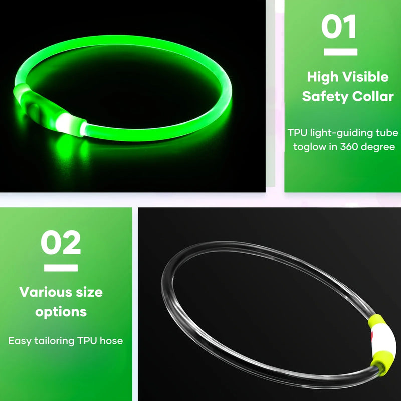 SafeGlow - Colar LED Recarregável para Pets