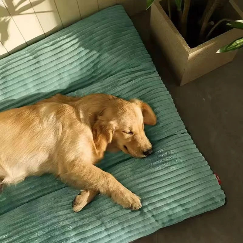 PetDream – Cama Aconchegante para Cães
